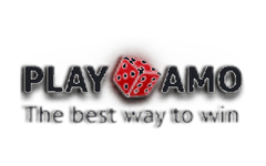 Playamo logo